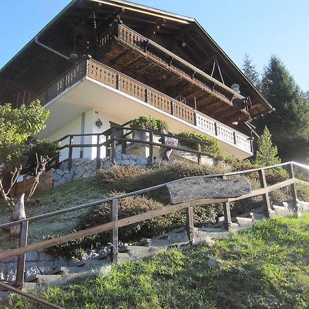 Chalet Erica Apartment Jaun Exterior photo