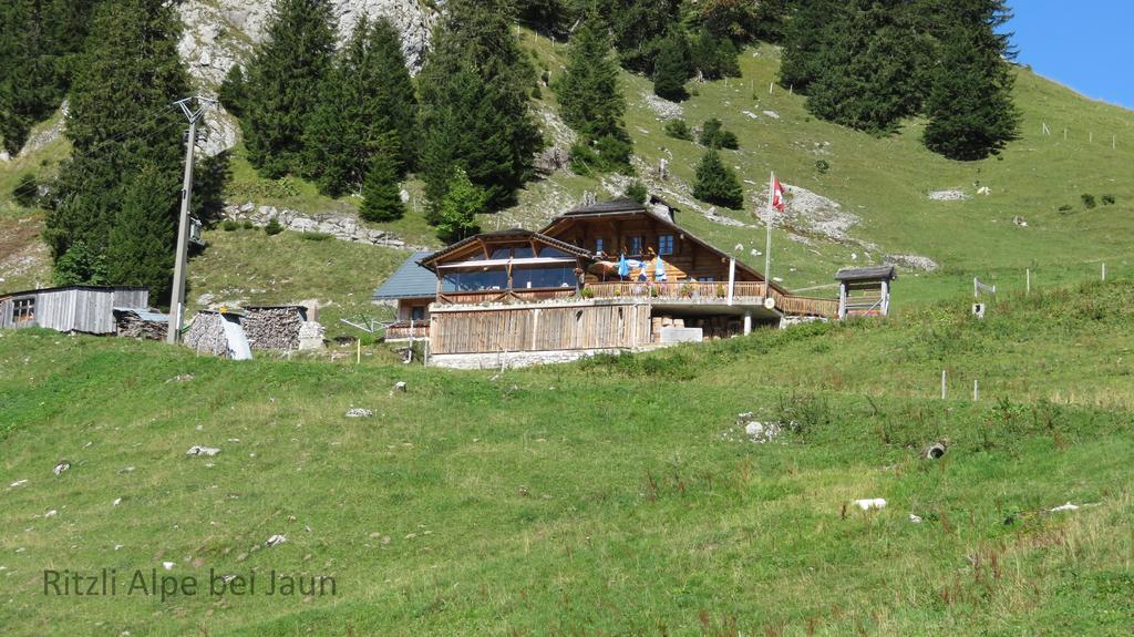 Chalet Erica Apartment Jaun Exterior photo